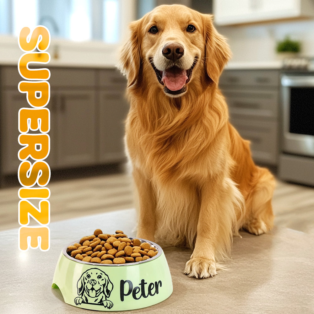 Personalized Pet Bowl Stainless Steel Dog Food Water Bowl Feeding Supplies Gift for Pet Owner